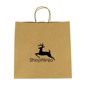 Kraft Paper Brown Shopping Bag - 10" x 10"