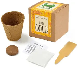 Marigold Planter in Kraft Gift Box