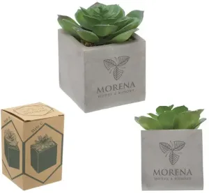 Mini Faux Potted Succulent