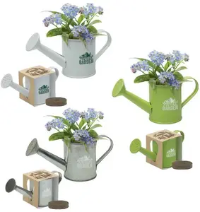 Mini Watering Can Blossom Kit