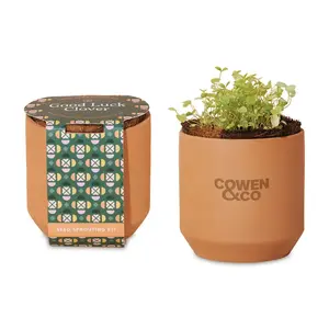 Modern Sprout® Tiny Terracotta Grow Kit Good Luck Clover