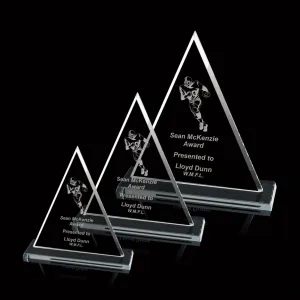 Oxford Award