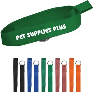 Customizable Paws for Life Slip Leash: Durable Polyester Leash and Collar Combo for Pets