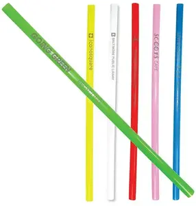 Reusable Standard Straw