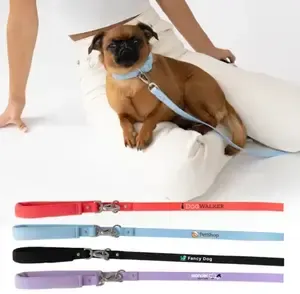 Spring Dog Leash