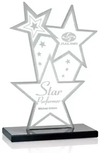 Stellar Custom Logo Awards