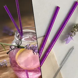 Straight Stainless Steel Straws: Set of 2 in Violet