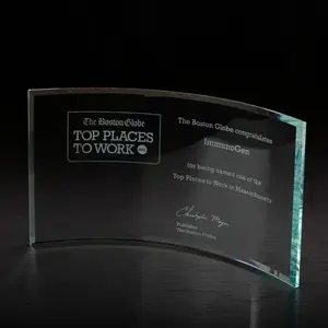 Customized Times Large Glass Award