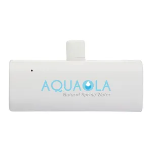 UL Listed 2,200 mAh Power Bank with Type-C Tip