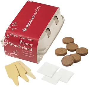 Winter Wonderland Grow Your Own Kit