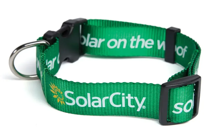 Custom Nylon Dog Collar (1" x 22") — view 2