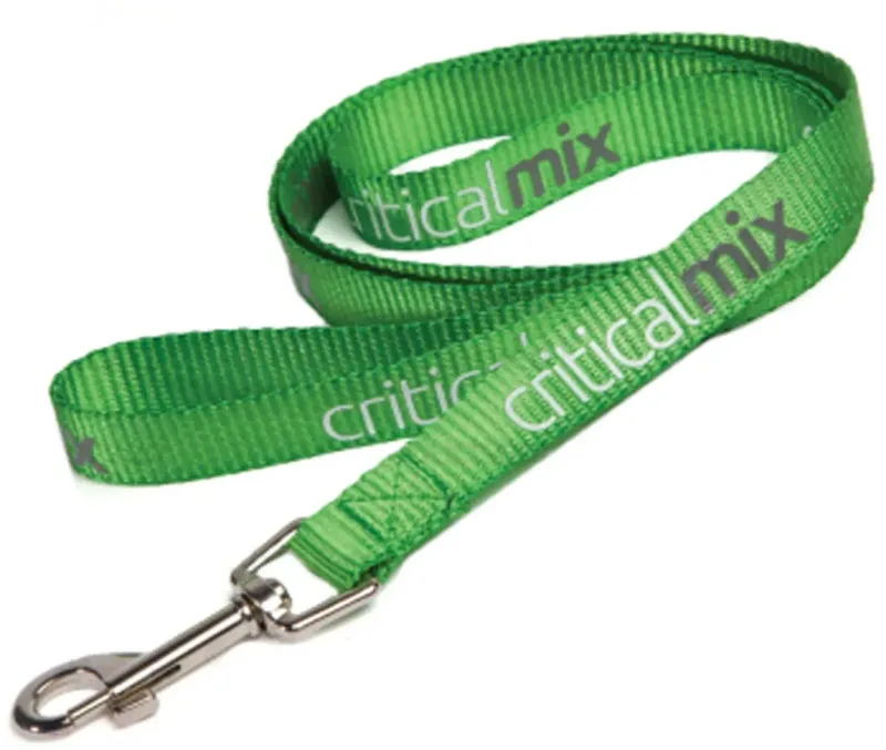Personalized Nylon Dog Leash — view 2