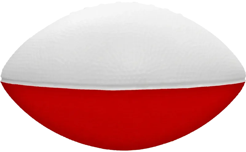 Imprinted 2 Tone Foam Football (7") — view 15