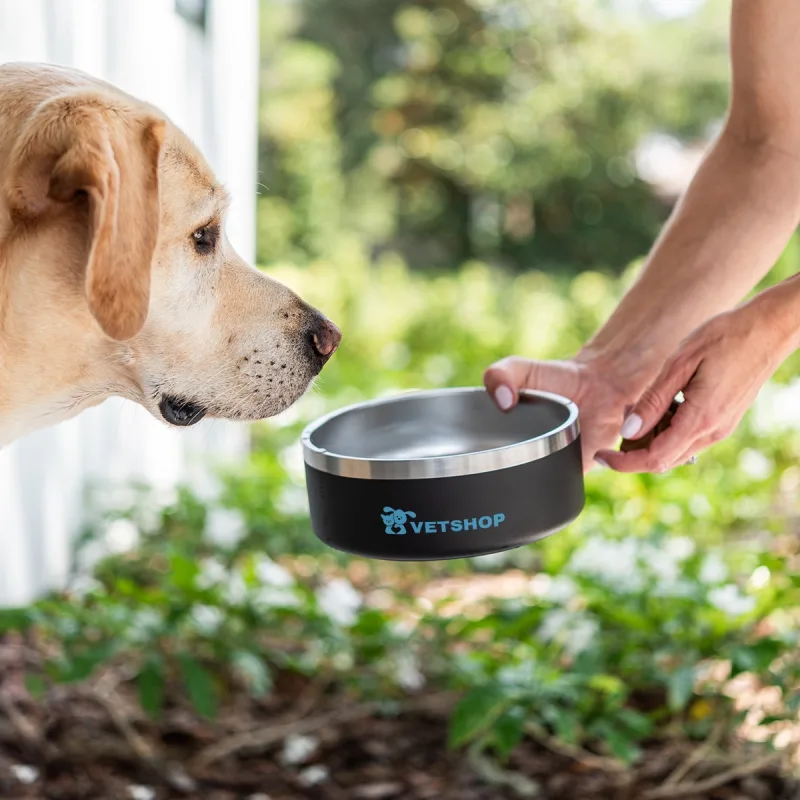 40 Oz. Stainless Steel Pet Bowl — view 7