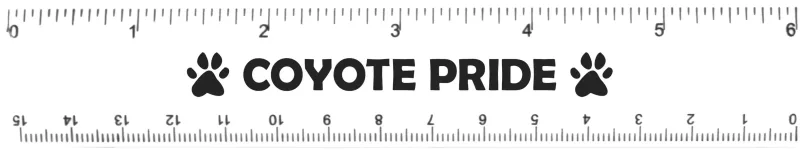 6" Plastic Ruler — view 8