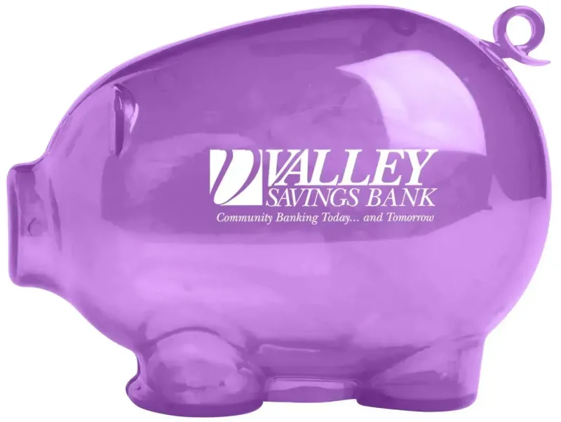 Action Piggy Bank — view 2