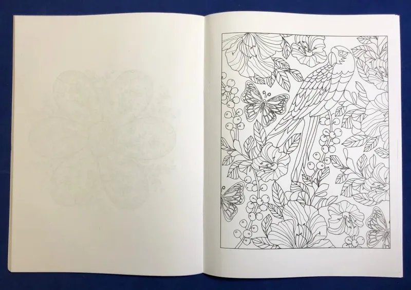 Adult Coloring Book - Nature Stress Relieving Coloring Book for Adults β view 1