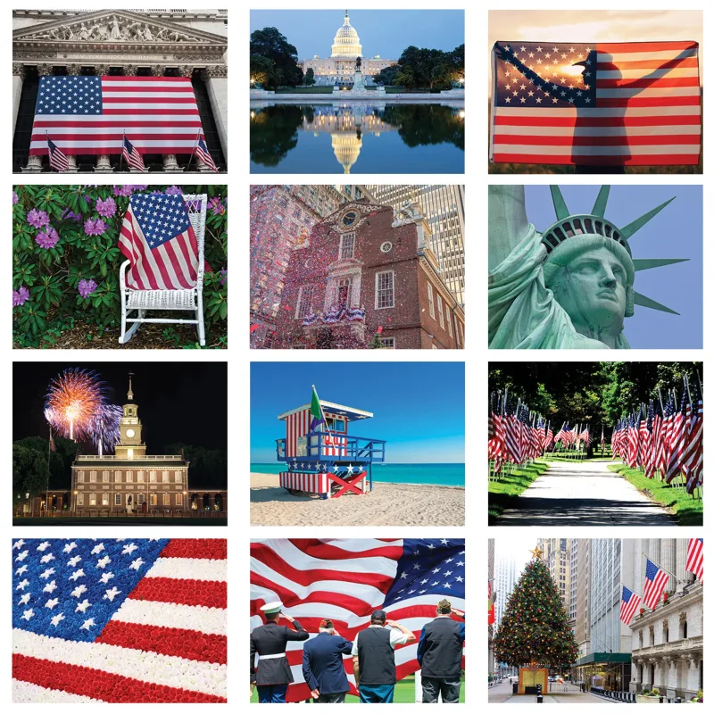 America! Wall Calendar: 2025 Spiral Bound — view 3