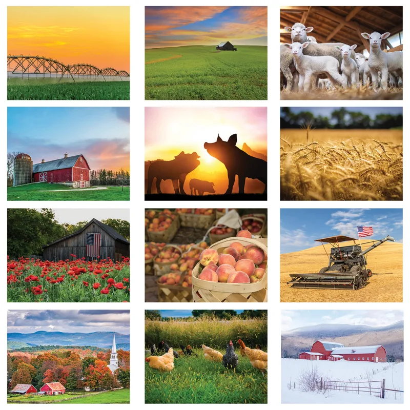 American Agriculture Wall Calendar: 2025 Spiral Bound — view 3