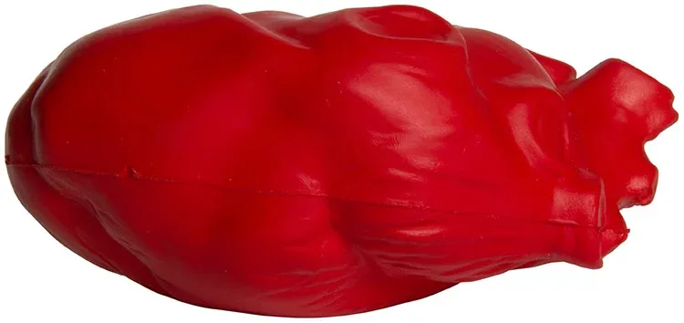 Anatomic Heart Stress Reliever — view 6