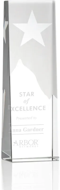 Artemus Star Award — view 2