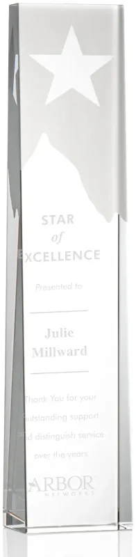 Artemus Star Award — view 4