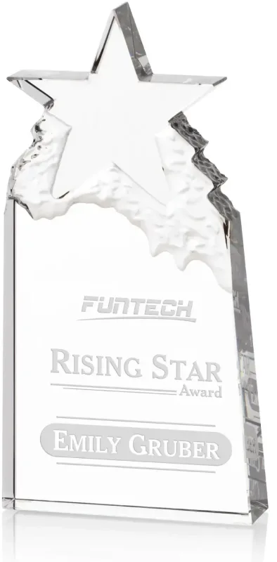 Augustine Award Star Mountain Award — view 2