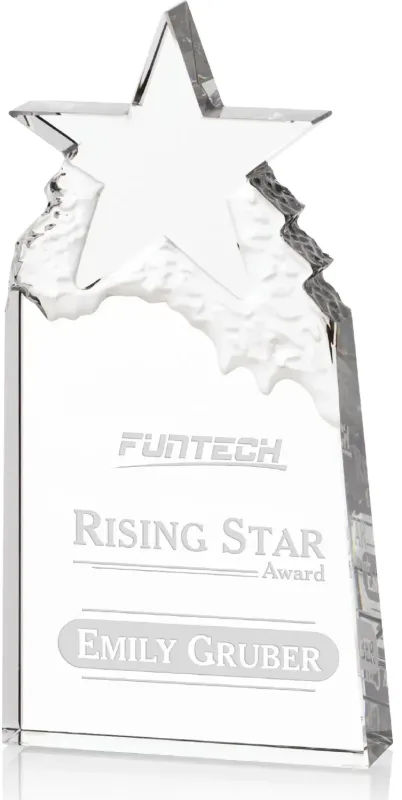 Augustine Award Star Mountain Award — view 3