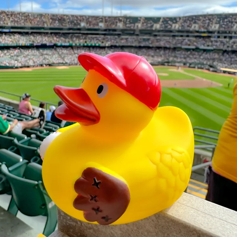 Baseball Duck — view 5