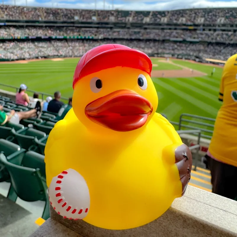 Baseball Duck — view 8
