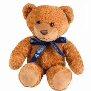 Promotional Big Graham Bear