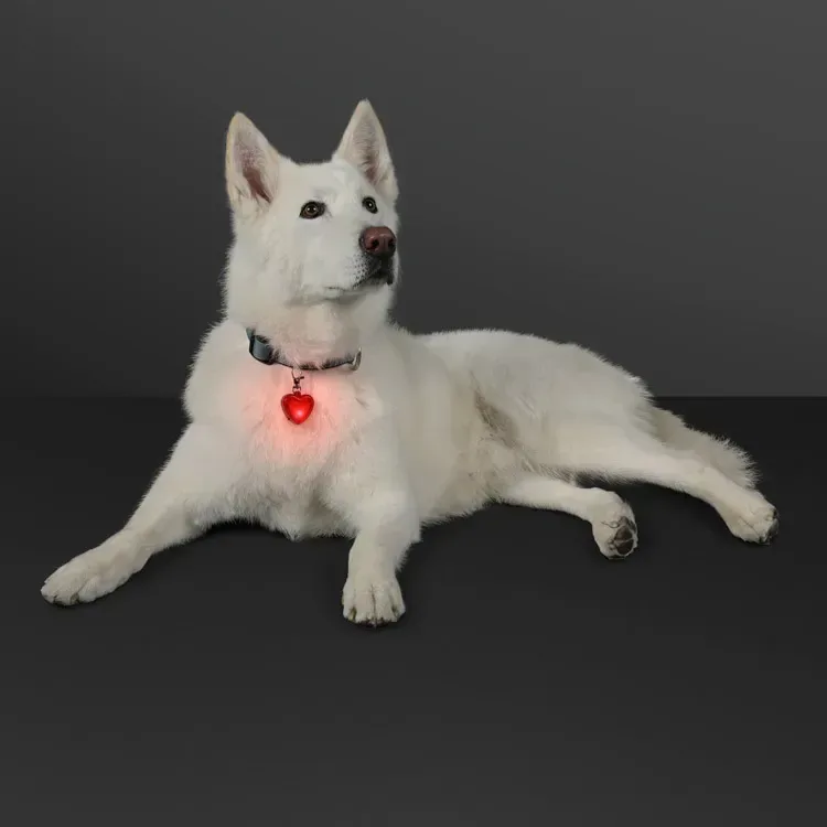 Blinking Heart Dog Light and Keychain — view 2