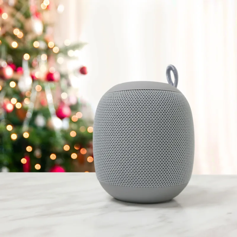 Boomberri Wireless Speaker — view 2