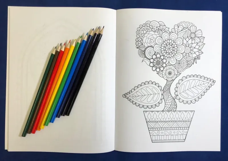 Brighter Minds - Adult Coloring and Large Print Puzzle Book — view 2