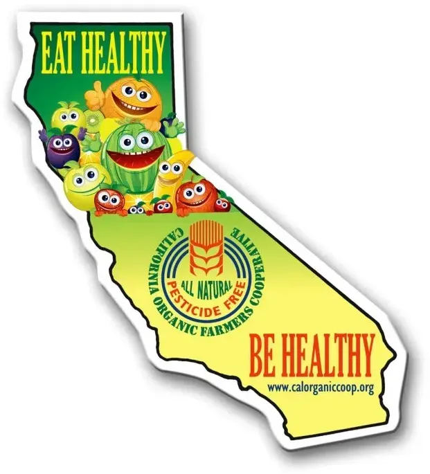 California State Magnet