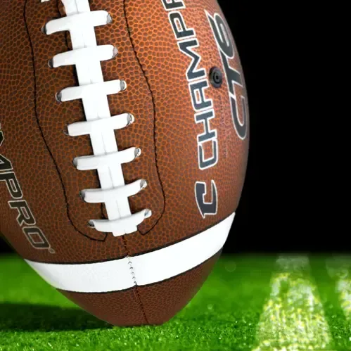 ChamPro Full Size Footballs (14") — view 2