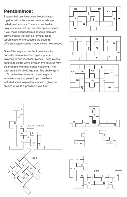 Color Wood Shapes Challenge Puzzle — view 3