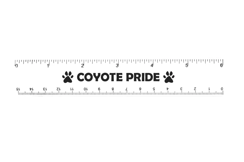 6" Plastic Ruler