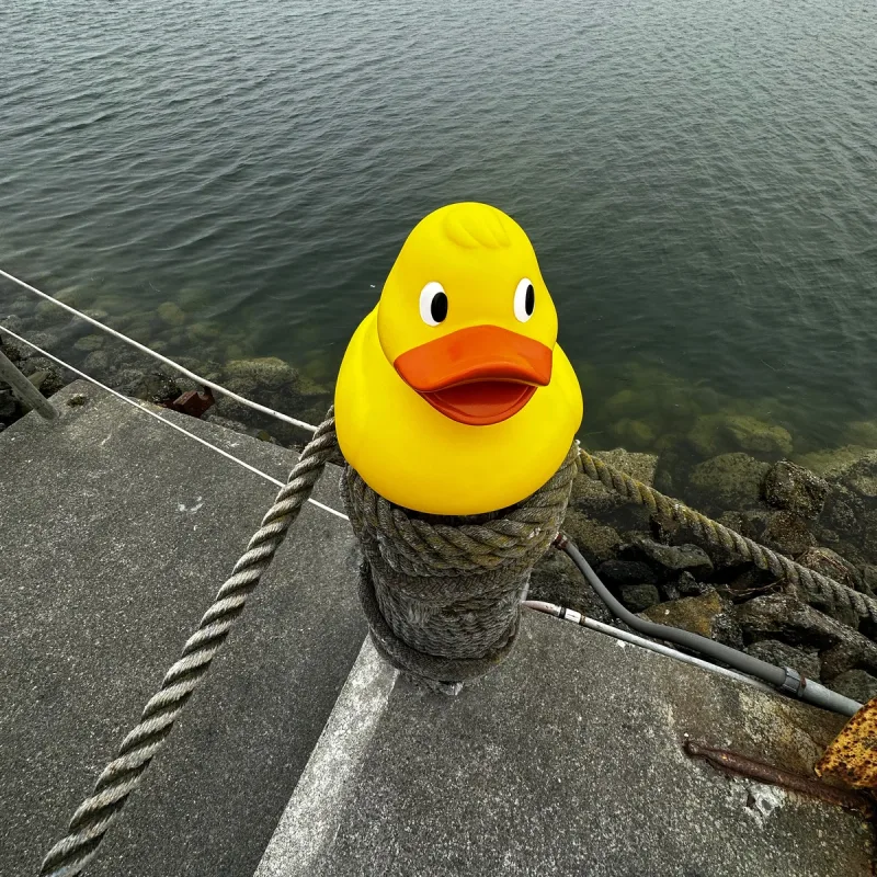 Promotional Jumbo Rubber Duck — view 16