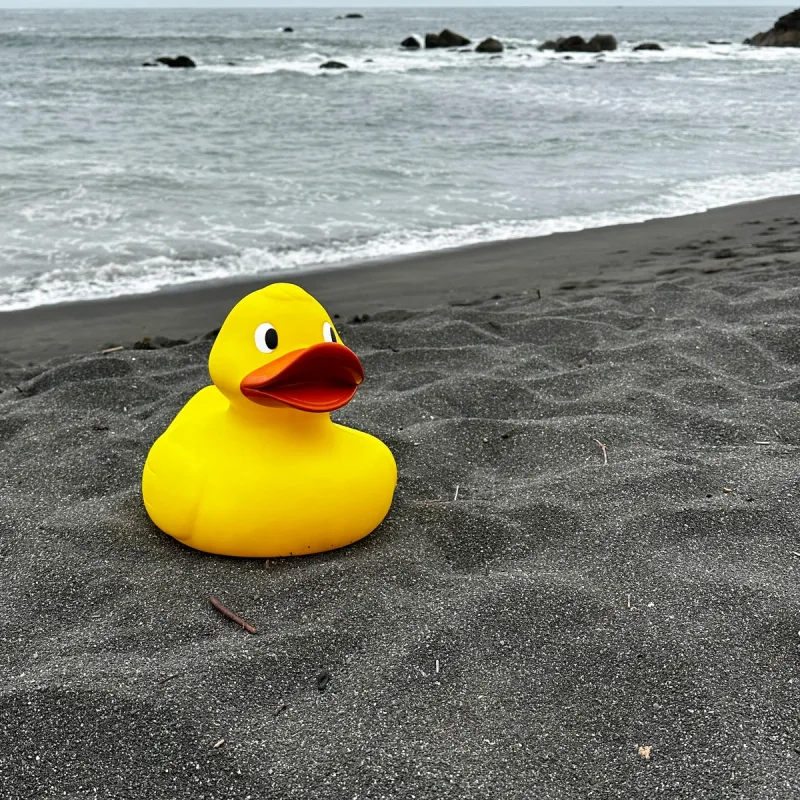 Promotional Jumbo Rubber Duck — view 12