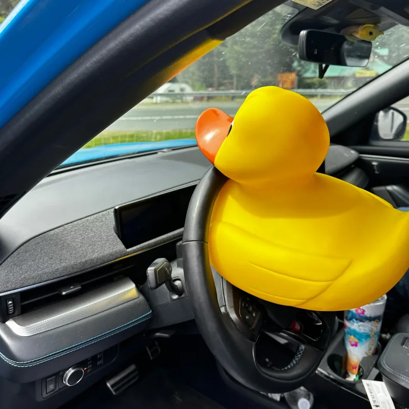 Promotional Jumbo Rubber Duck — view 15