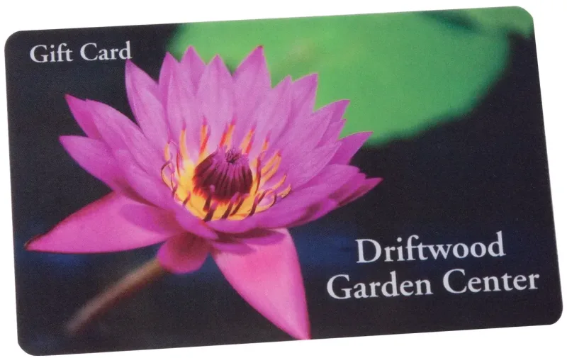 Personalized PVC Card Set — view 2