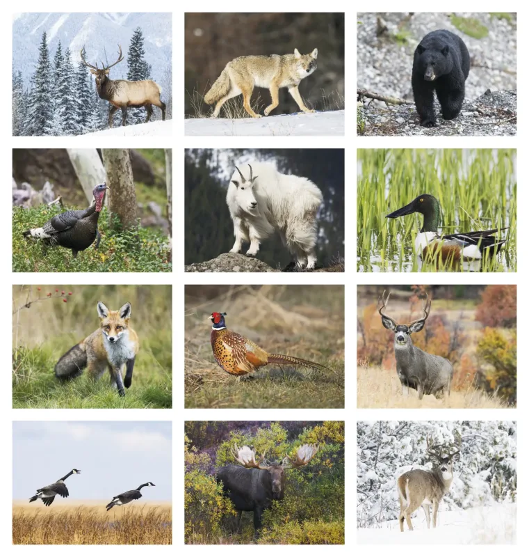 Custom Sportsman Calendar — view 4