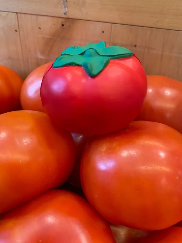 Imprinted Tomato Stress Reliever — view 5