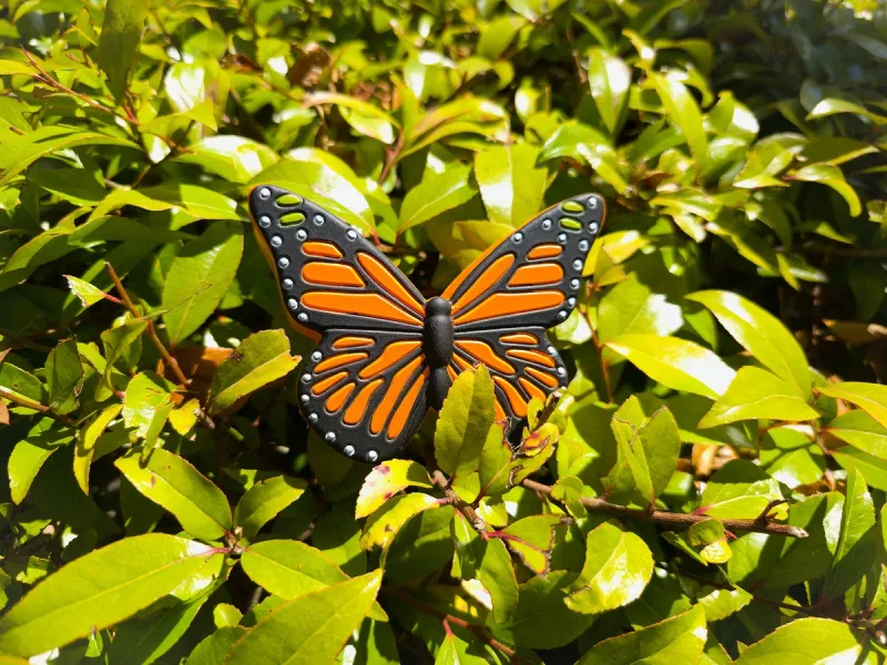 Customized Butterfly Orange — view 6