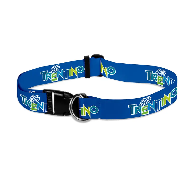 Customizable Polyester Pet Collar