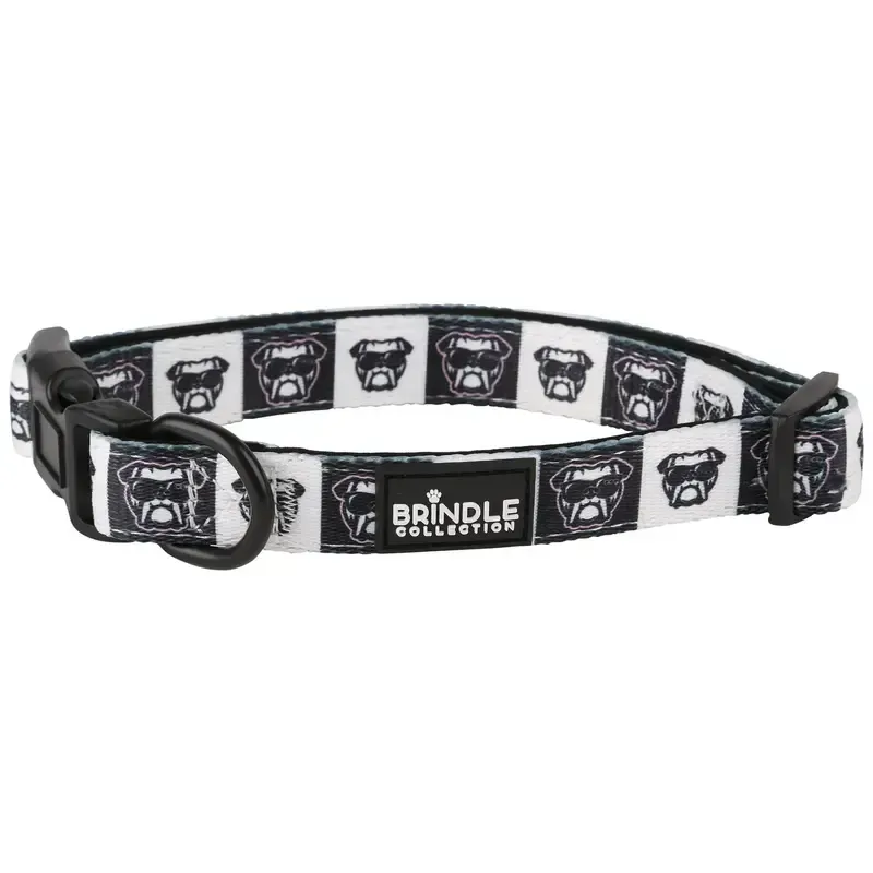 Dog Collar With Neoprene Backing: Large