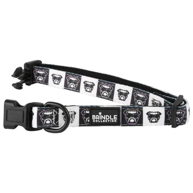 Dog Collar With Neoprene Backing: Large — view 2