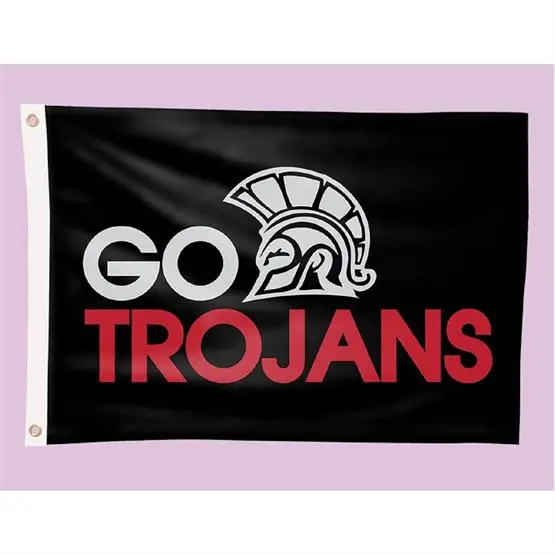 Double-Sided W Team Flags (2-ft. H x 3-ft.)