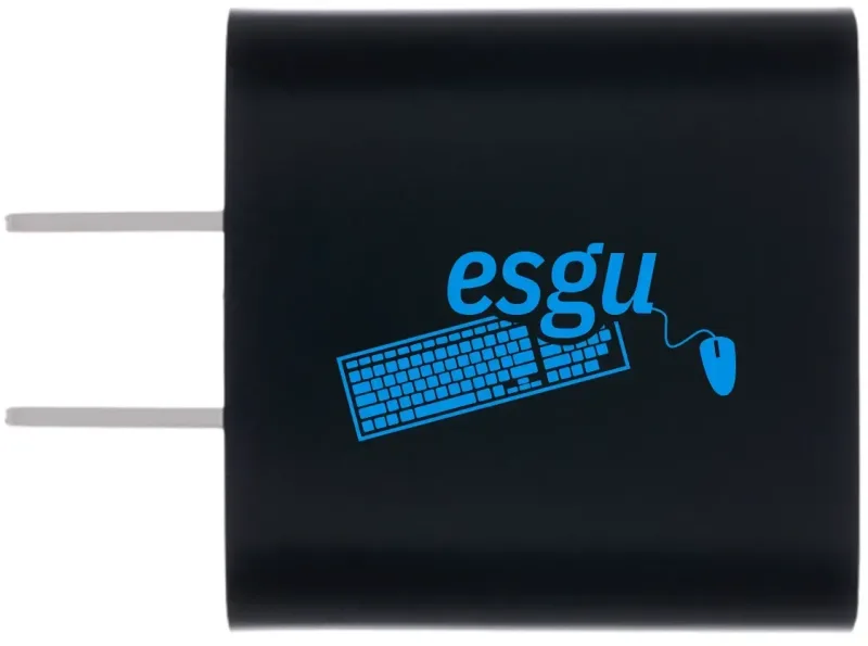 Custom Dual Power Adapter — view 2